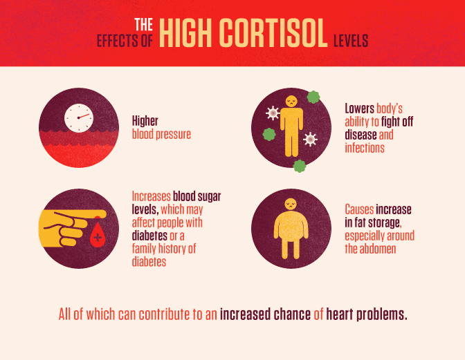 Cortisol Diagram