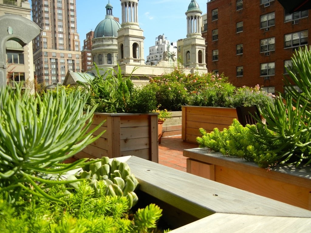 Victory Gardens NYC - Urban Rooftop Garden by Dr. Robert Graham and Julie Graham FRESH Med NYC | www.freshmednyc.com/