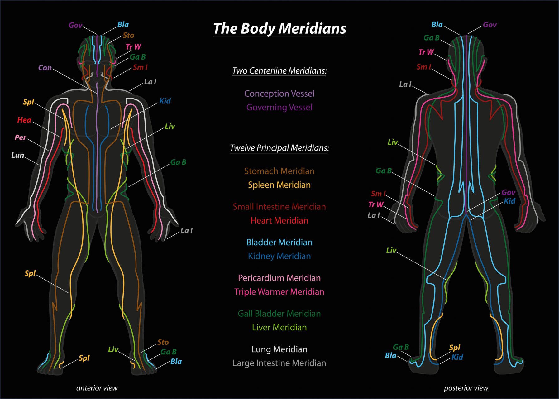 What is Acupuncture? | Physio Logic NYC