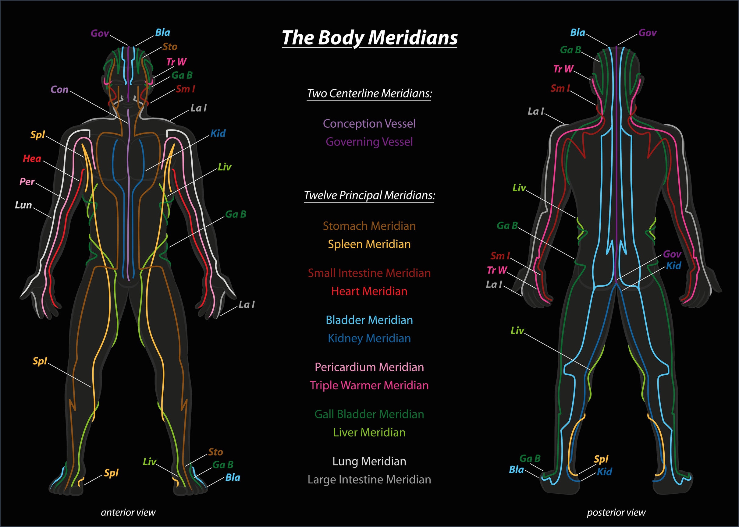 Meridian Anterior Posterior Chart 