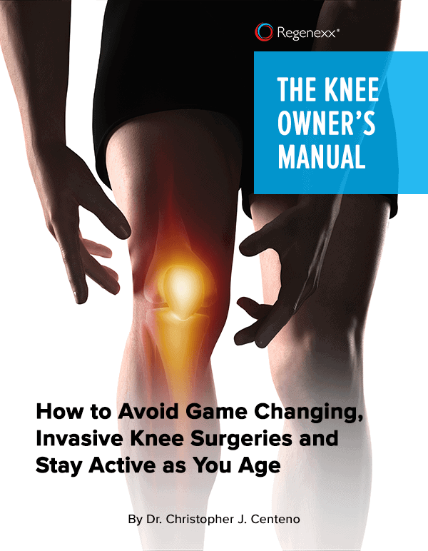 The Knee Owners Manual book cover