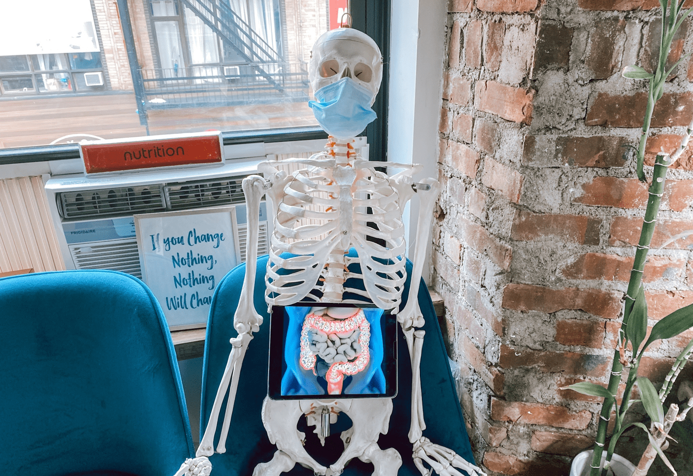 The Physio Logic NYC skeleton wants to know, what is leaky gut and what are leaky gut causes.