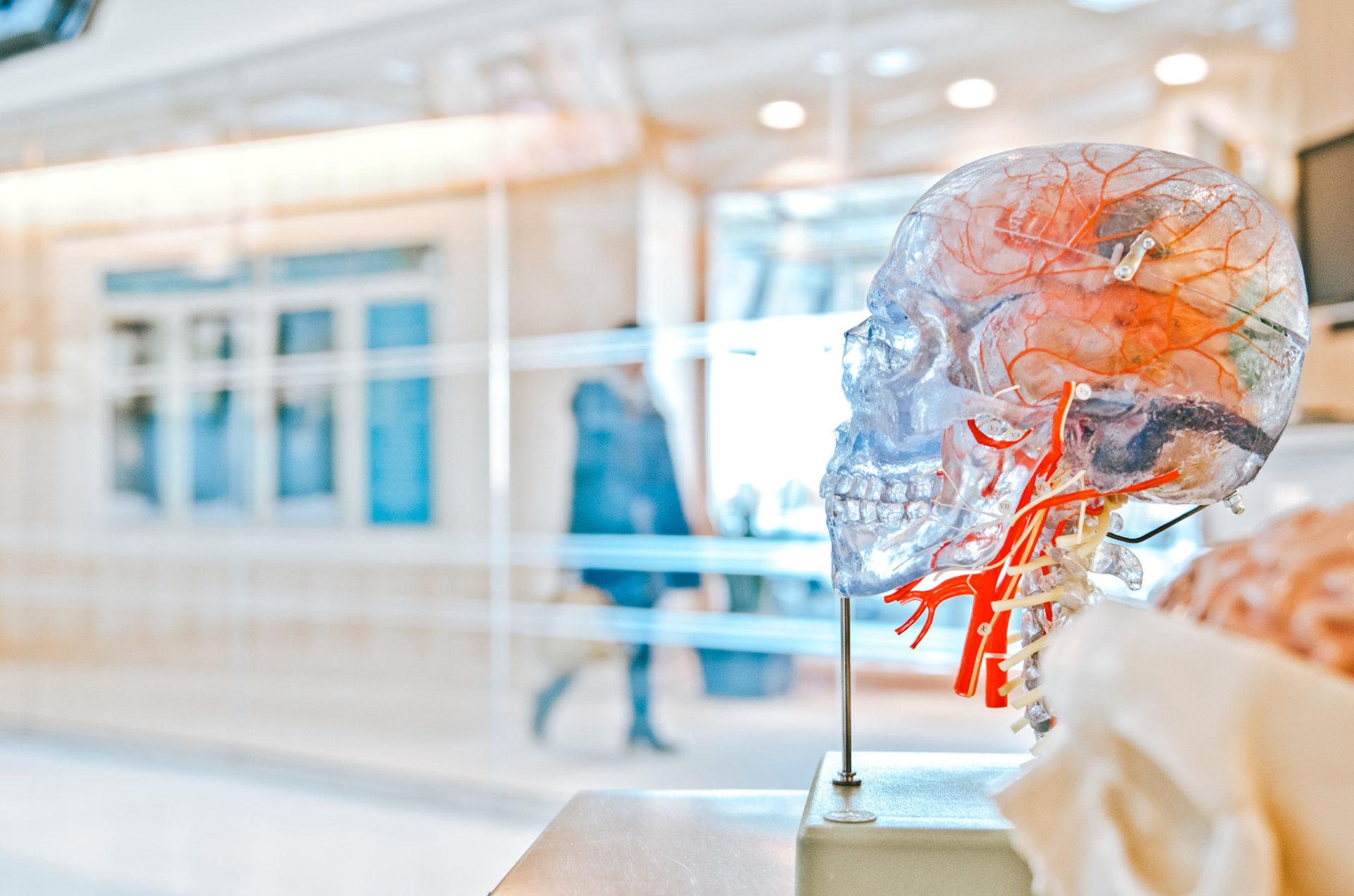 7 Ways to Optimize Brain Health at Physio Logic NYC in Brooklyn, NY.
