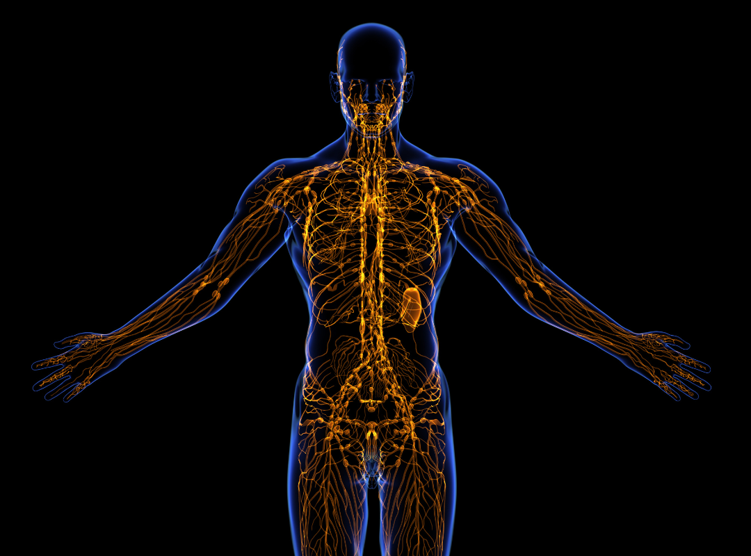 Lymphatic Drainage therapy